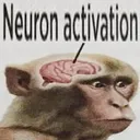 neuron neuron