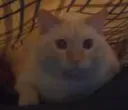 B3