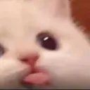 blep