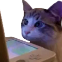 emoji_29 Discord emoji