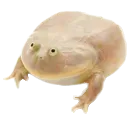 wednesday