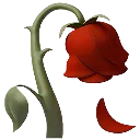 wilted_rose_4k