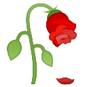 wilted_rose
