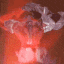 gyaatrox