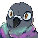 PigeonBlink