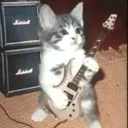 guitar_cat guitar_cat