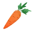 carrot