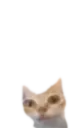er