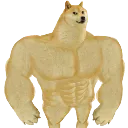 dogsigma