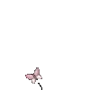 butterfly1