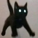 CatFly