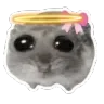 binliebi binliebi