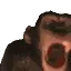 monkechimp