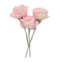 flower37429549745 Discord Emoji from Four Craft