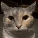 despairat