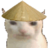 chinacat Discord emoji
