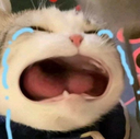 WAAAAAA Discord emoji