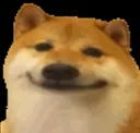 doge