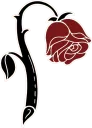 rose