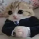 businos businos