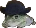 froghat