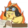 notesbirb