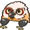 bongoberg