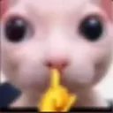 shush_bnz