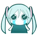 cri cri