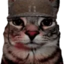 cat_stare2