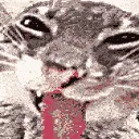 lick lick