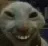 as_notcat