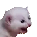 emoji_36