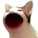 emoji_41
