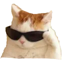 emoji_42