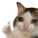 emoji_44