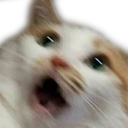 65217catscared Discord Emoji from Lovescape