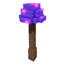 image_20250530_162225862