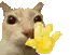 olatonotos