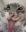 freaky_cat