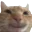 cat_smile