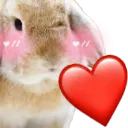bunnylove