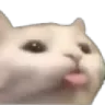 bleh_tease