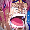 kobycry