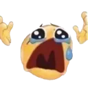 cry