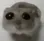 sadhammie