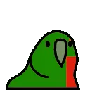 zambia_parrot