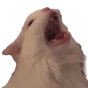 emoji_21