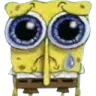 spongecry