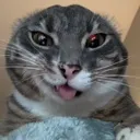 evilsmirk